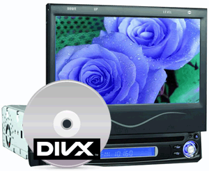 DivX DVD Converter