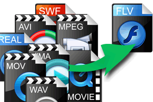 FLV Video Converter